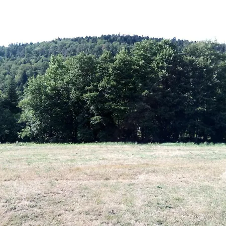 La Nature Sapois (Vosges)